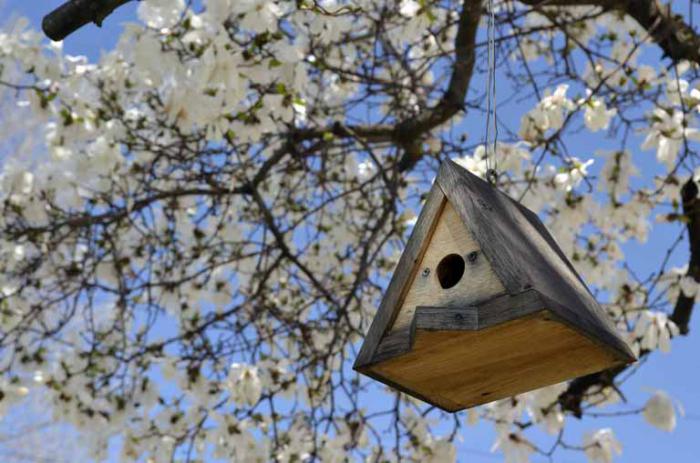 how to properly hang a birdhouse