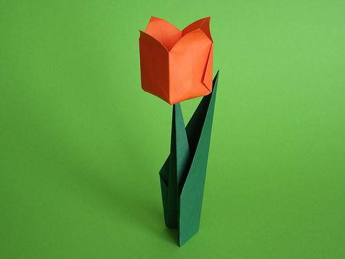 origami tulips