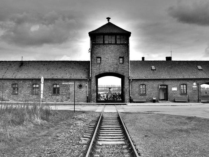 movies about Auschwitz 