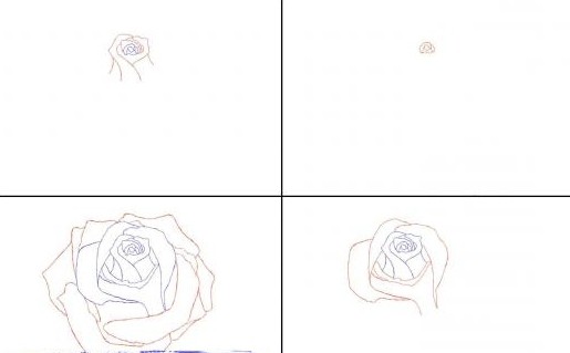 how to draw a rose in pencil easily