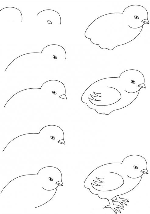 how to draw a chicken step by step