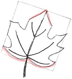 How to draw a maple leaf in stages