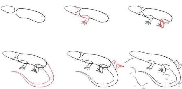 how to draw a lizard in pencil step by step