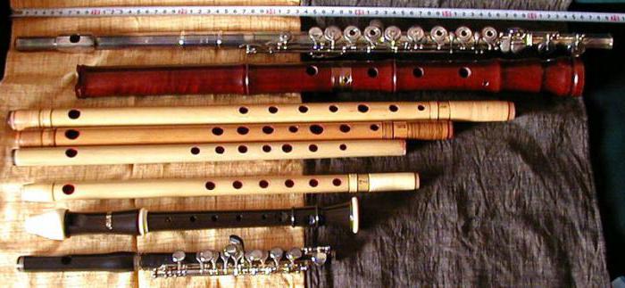 Musical instrument flute. What is a flute?