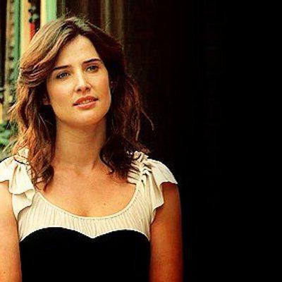 Robin Scherbatski - the heroine of the television series 