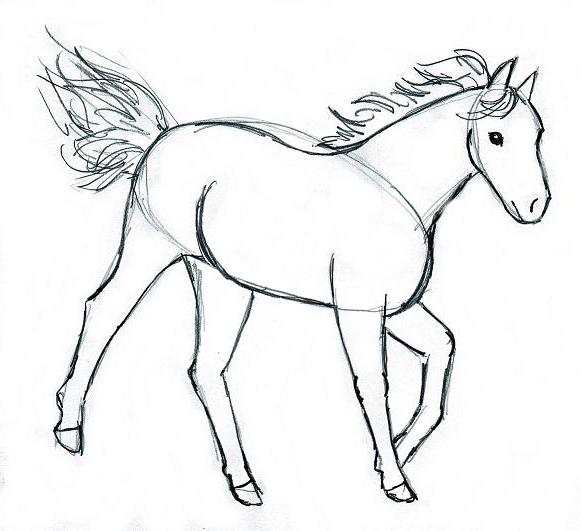 Learn how to draw a horse with wings and without