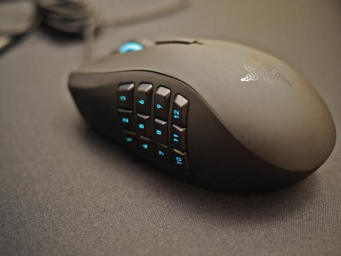 Silent computer mouse: reviews of the best models