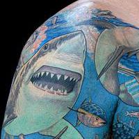 tattoo shark