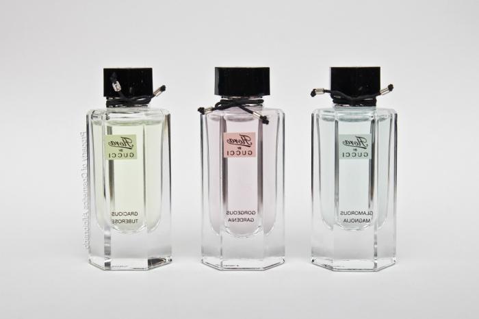 What are the fragrances of the series 
