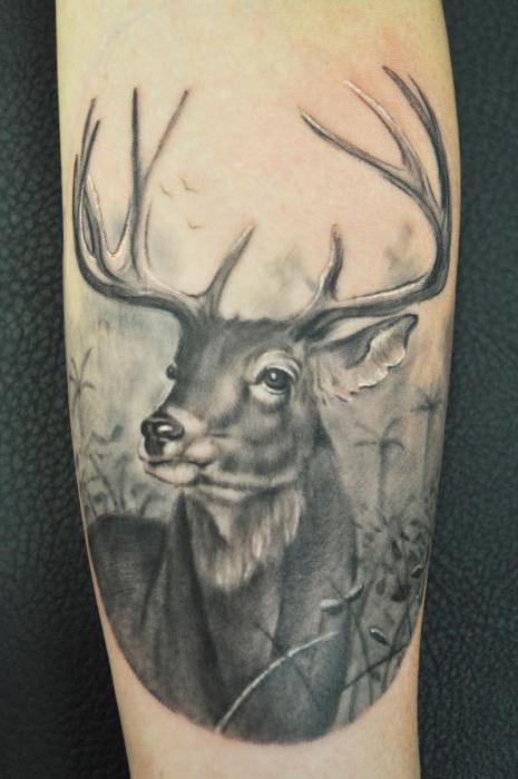 What kind of animal tattoos are there?