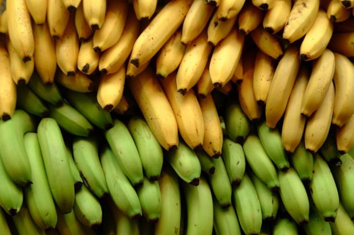 banana is a grass or a fruit