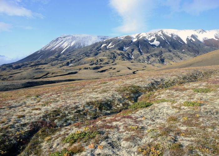 Death Valley in Kamchatka - a unique landscape complex (photo)