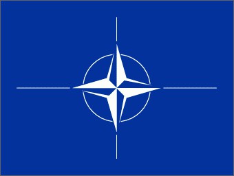 What were the goals originally pursued by the countries that are members of NATO?