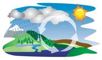 The water cycle in nature