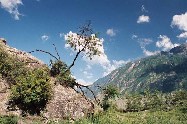 Nature of the Altai Territory - a hundred opportunities for recreation