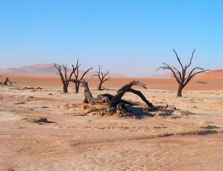 desert environmental problems