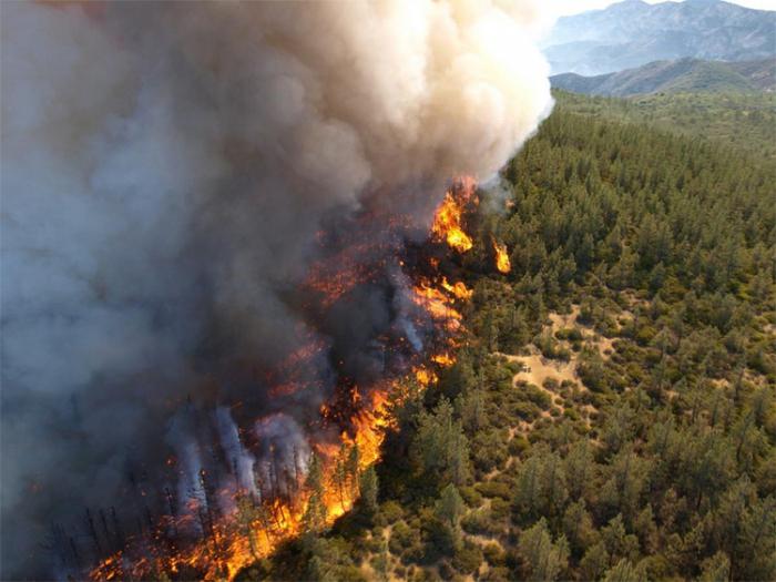 chronicle of the largest fires in the territory of Russia