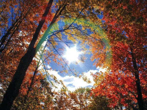 Bright colors of autumn nature: when does Indian summer begin?