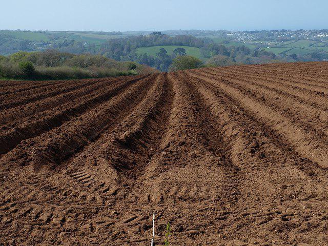 origin of the word furrow