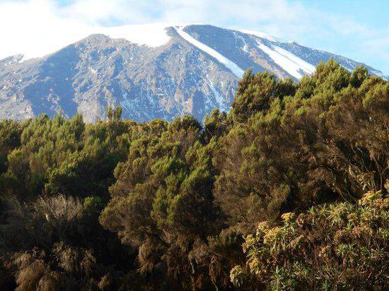 Geographic coordinates of Kilimanjaro volcano and other features