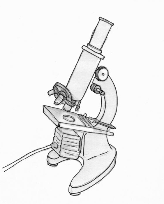 how to draw a light microscope