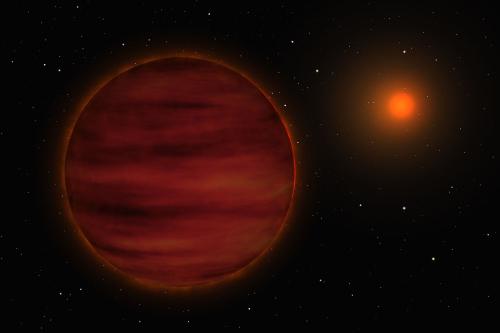 brown dwarfs