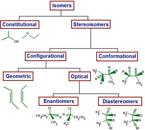 alkanes building nomenclature isomerism