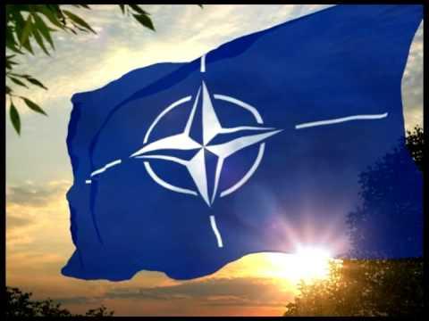 NATO: transcript and history