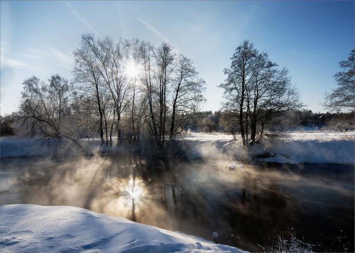 Plants of the river Pekhorki