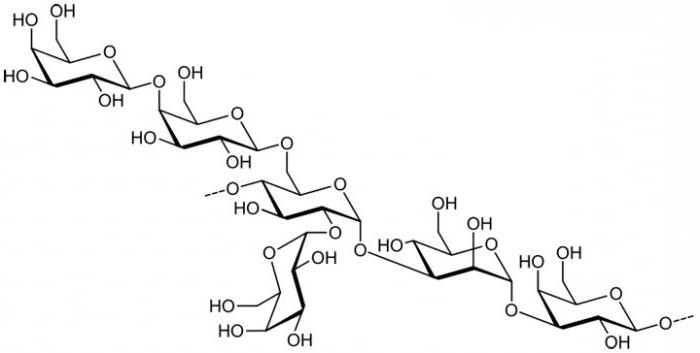 polysaccharide is