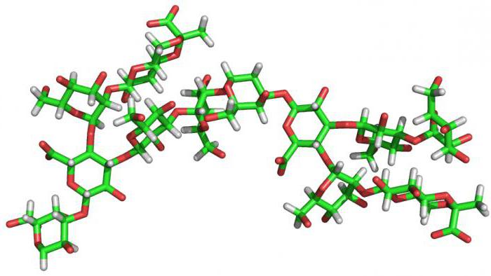 structure of polysaccharides