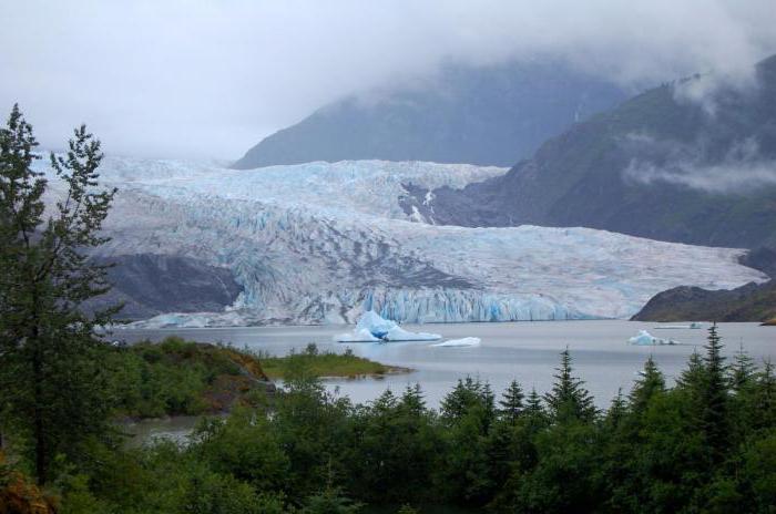 average temperature in the subarctic belt