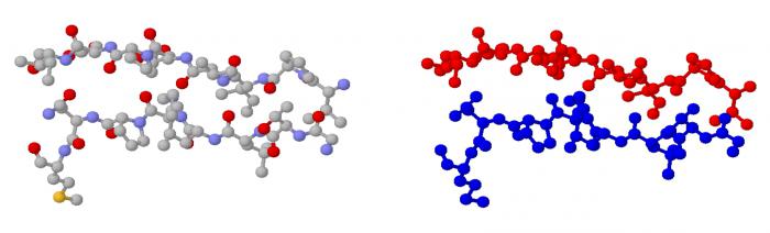 Properties and structure of carbohydrates. Functions of carbohydrates