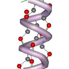 difference of RNA from DNA