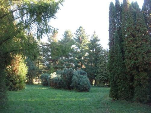 Botanical Garden of Nizhny Novgorod