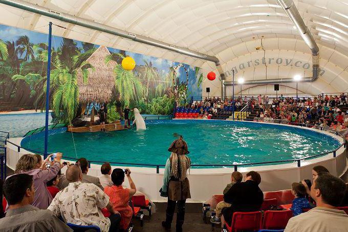 Dolphinarium at VDNH - a place where you can get acquainted with dolphins closer!