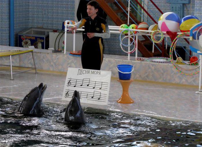 Karadag dolphinarium: description and reviews of tourists