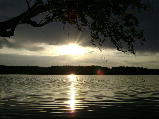 Lake Spruce Chelyabinsk Region