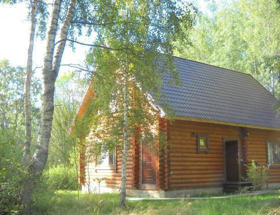 Lake Veli in the Novgorod region