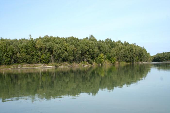 The Ob River: features of the water flow. Tributaries of the Ob