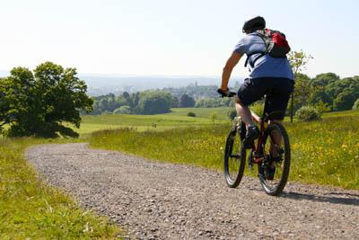 Which bicycles are good and which are not?