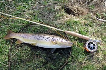 Fishing in the Volgograd Region. Fishing in Volgograd