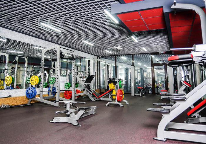 Clubs in Omsk: the best fitness centers