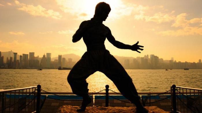 Master of Chinese martial arts Ip Man: biography, interesting facts and achievements