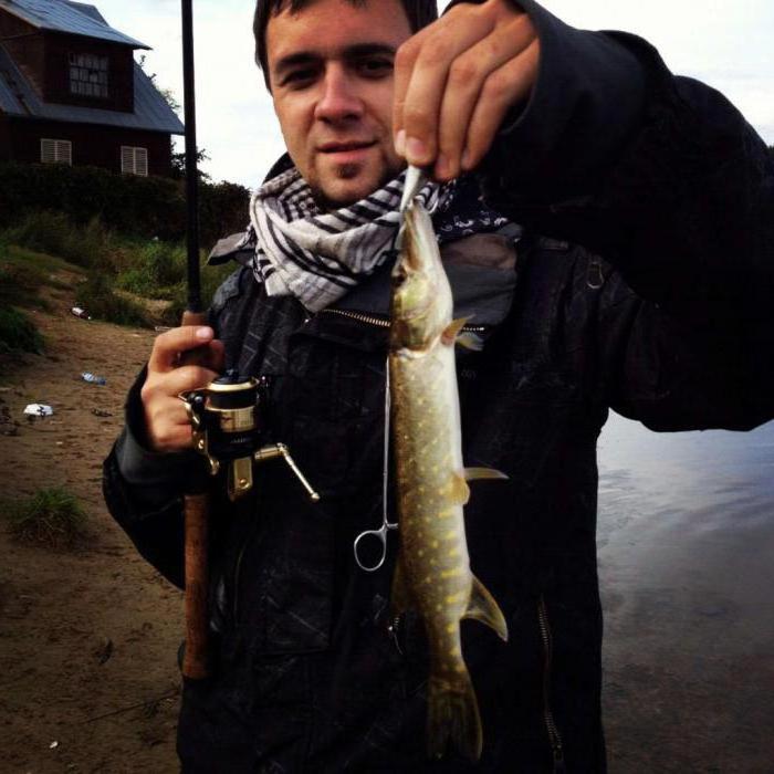 Fishing in Konakovo on the Volga - fish places. Fishing at the Ivankovsky Reservoir