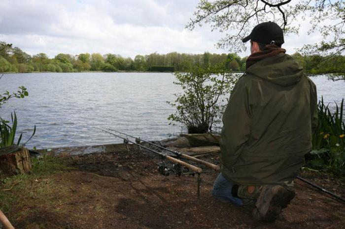 Secrets of carp fishing in September