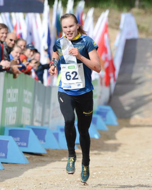 Orienteering in Tyumen. Competition 