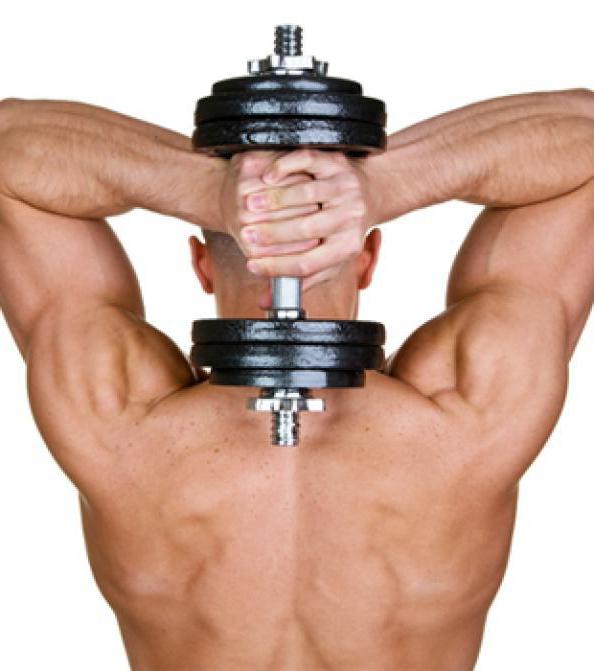 Triceps training in the gym and at home