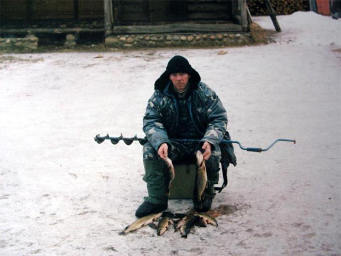 In Rostov-on-Don fishing: the most favorable seasons