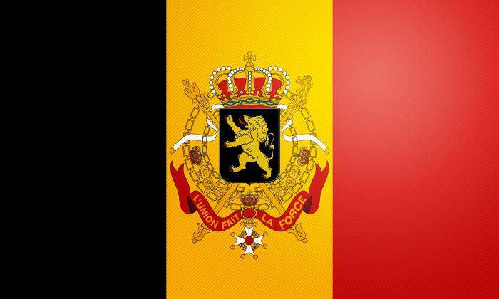 The flag of Belgium as a state symbol